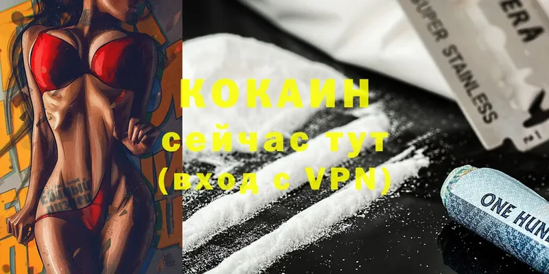 Cocaine 98%  где купить   Губкин 