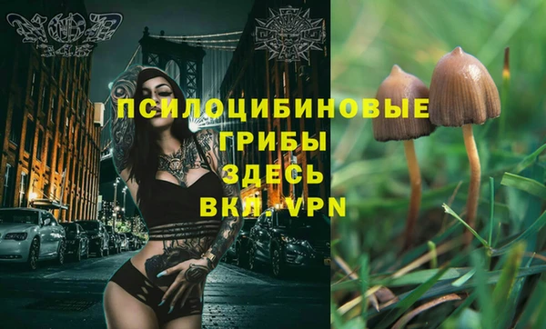 скорость Гусев