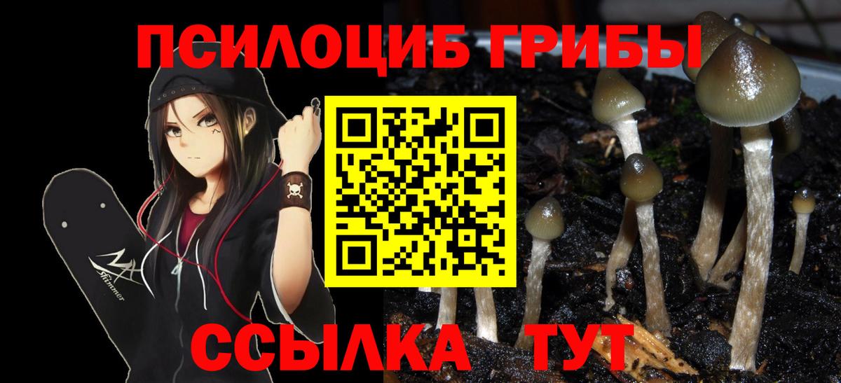 Мяу-Мяу  Вход с VPN  Alpha-PVP  Мефедрон  Губкин  Конопля  КОКАИН  Плюхи 