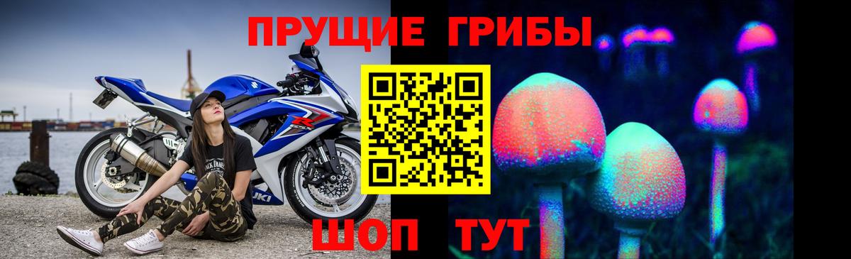 Псилоцибиновые грибы ЛСД  Губкин  Псилоцибиновые грибы мицелий 