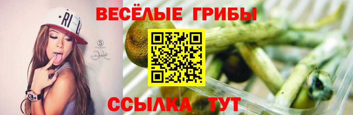 Псилоцибиновые грибы MAGIC MUSHROOMS  что такое   Вход с VPN  Губкин  Псилоцибиновые грибы MAGIC MUSHROOMS 