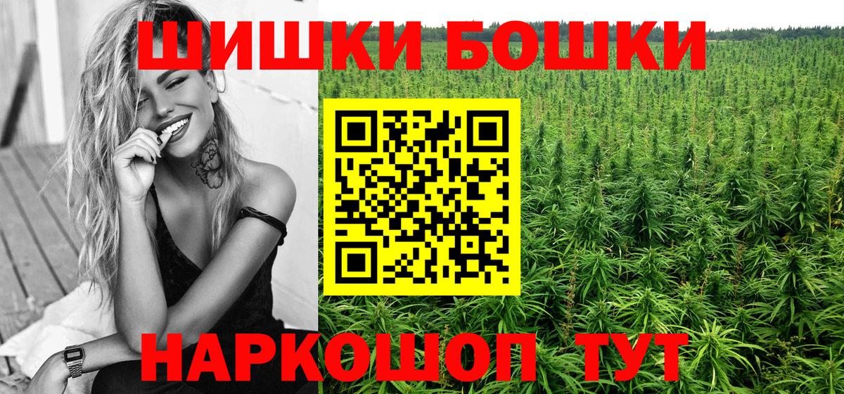 Каннабис сатива Губкин