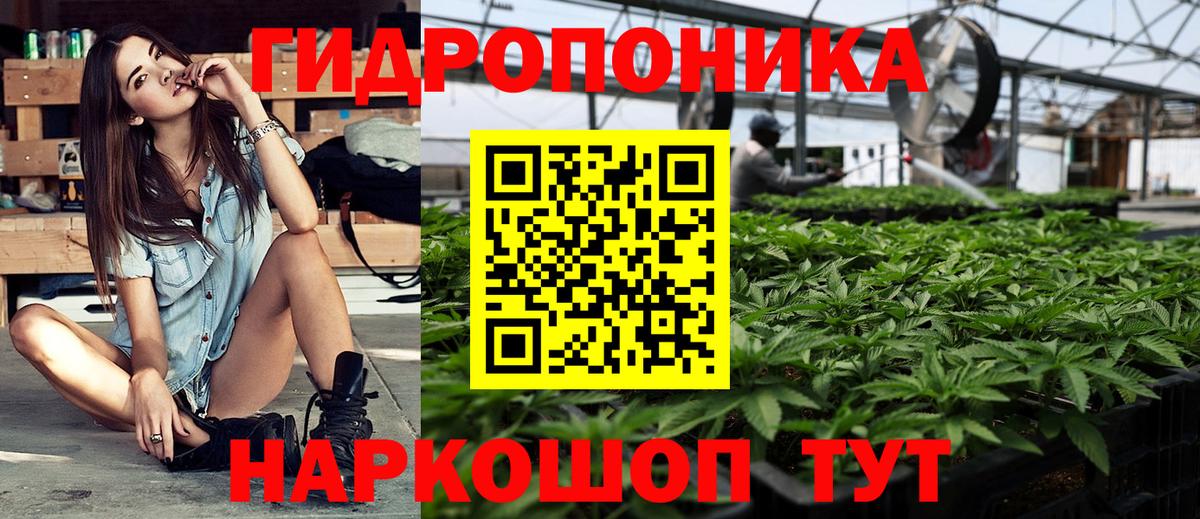 Канабис Губкин